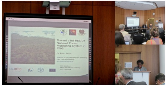 PNG REDD+ side event at Bonn 2014